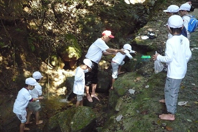 ���V�т͊y�����ȁi�O�O�j