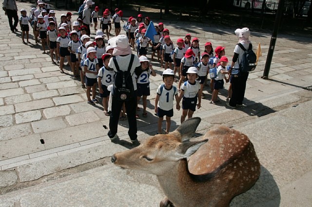 �H�̉����啧�a