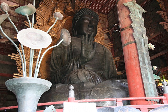 �H�̉����啧�a