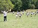 奈良公園飛火野